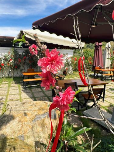 a bunch of pink flowers in front of an umbrella at GREENECO DA LAT HOTEL - Khách sạn Green Eco Đà Lạt in Da Lat