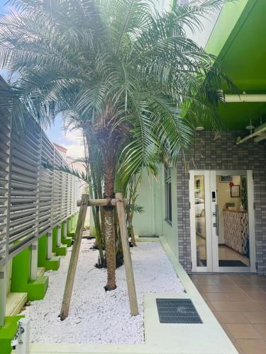 un palmier au milieu d'un bâtiment dans l'établissement HOTEL Ishigakijima 2020, à Ishigaki