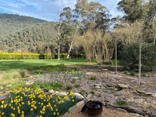 un jardín con flores amarillas en un parque en Treetops at Harrietville, en Harrietville
