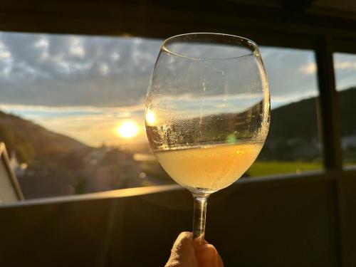 a person holding a glass of wine in front of a window at Pension Hönel-Hof Bad Schandau in Bad Schandau