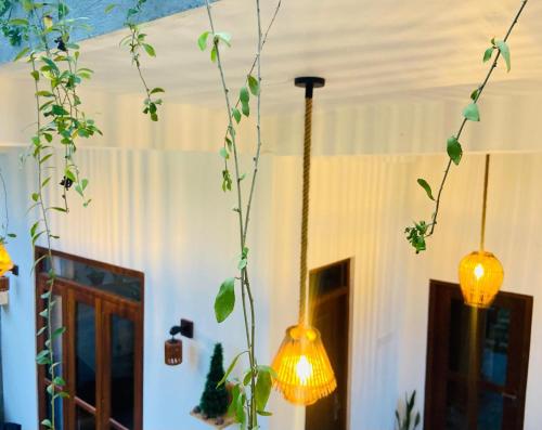 two lights hanging from the ceiling in a room at Diamond Key Ahangama in Piyadigama