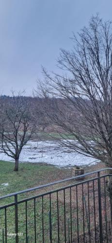a fence next to a body of water with two trees at Best in Hombourg-Haut