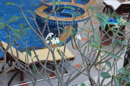 Jardín al aire libre en Chaweng Noi Residence
