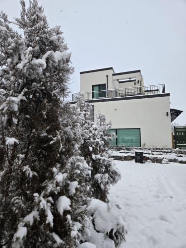 a snow covered tree in front of a house at Daori Pension in Boryeong