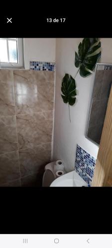 a bathroom with a toilet and a plant on the wall at Cabaña de Lucas in Loma Bonita