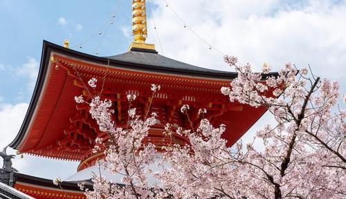 Fotografie z fotogalerie ubytování Hotel Wakamizu v destinaci Takarazuka