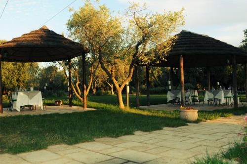 a patio with tables and umbrellas in a park at Isola Verde Agriturismo in Carovigno