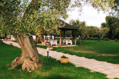 a tree in a park with a table and a pavilion at Isola Verde Agriturismo in Carovigno