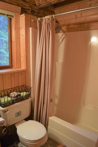a bathroom with a white toilet and a shower at Cascade Log Cabin | Mt Rainier, WIFI, Log Cabin in Packwood