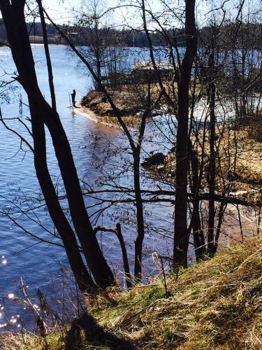 a person standing on the shore of a body of water at Vintergatans Rum in Insjön