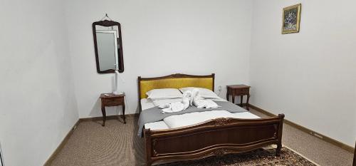 Afbeelding uit fotogalerij van Ascunzis in Bicaz