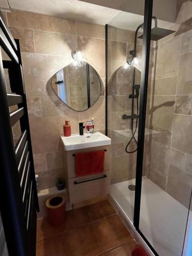 une salle de bain avec une douche, un lavabo et un miroir dans l'établissement Appartement Cosy avec jardin, aux Angles