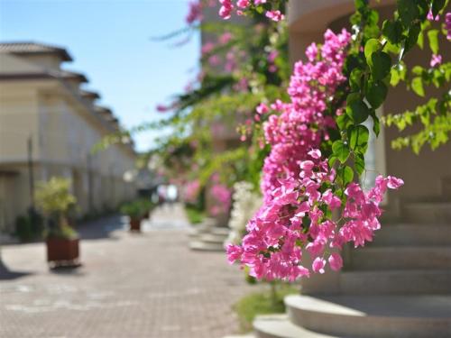 Κήπος έξω από το SUNSET BEACH CLUB LEBRENTALS