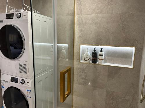 a bathroom with a washing machine next to a wall at Beautiful Lakeview Apartment in Taupo