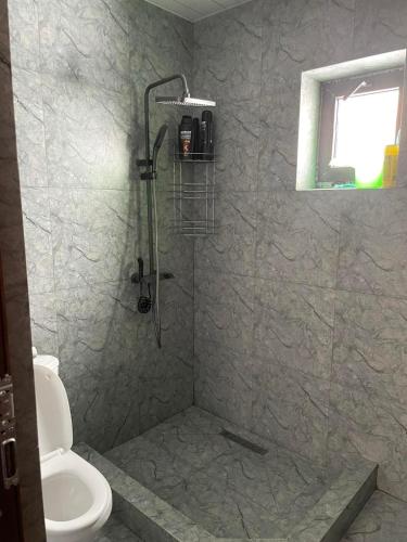 a bathroom with a shower with a toilet and a window at Marni's cottage in Bakuriani in Bakuriani