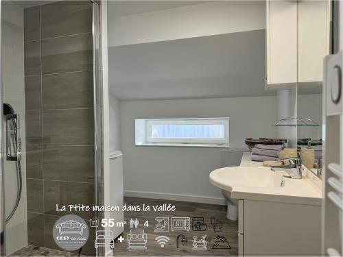 une salle de bain avec douche et lavabo dans l'établissement LaPetite Maison dans la vallée, à Hayange