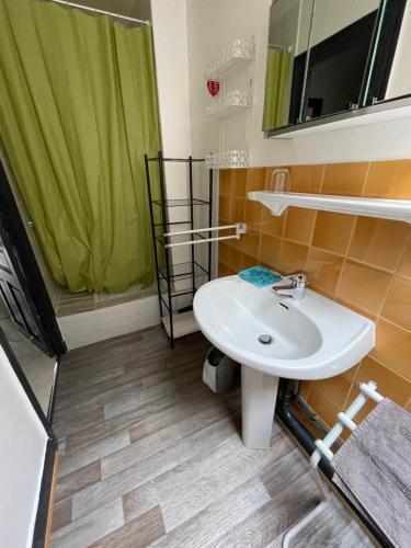 une salle de bain avec un lavabo et une douche dans l'établissement B9 villa MASSIAS, à La Bourboule