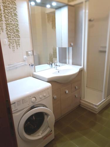 a bathroom with a washing machine and a sink at Appartamento 2 Residenza RODODENDRO in Campitello