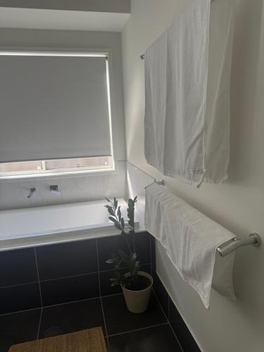 a bathroom with a window and a potted plant at Tranquil Retreat - Your Own Room in a Peaceful Modern Shared House in Warner Lakes in Lawnton