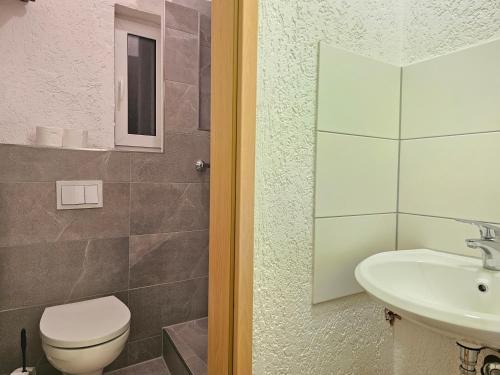 a bathroom with a toilet and a sink at Wohnreich Ulm Zentral 3er WG in Ulm
