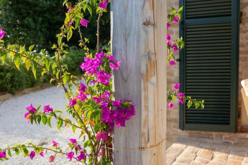 Taman di luar Casa Raffaela, Charming villa with a nice pool