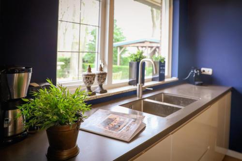 Η κουζίνα ή μικρή κουζίνα στο Wellness Bungalow | 14 personen
