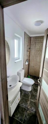 a bathroom with a white toilet and a sink at Casa de inchiriat in Oradea