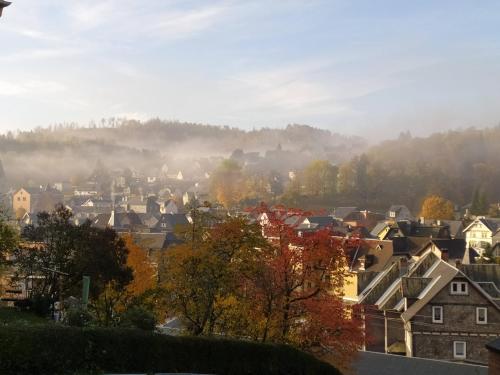 a city in the fog with houses and trees at Ferienwohnung Steinachblick in Steinach