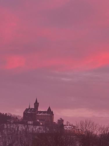 a building on a hill with a pink sky at Altstadt Pension Orchidee in Wernigerode