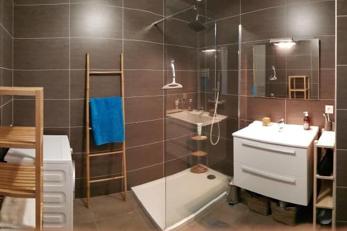 une salle de bain avec une douche avec un lavabo et un miroir dans l'établissement PORTICCIO Appart 6pers Climatisé proche plage, à Porticcio