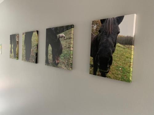 three pictures of a horse hanging on a wall at Hallamölla Gård in Brösarp