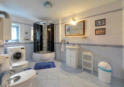 a bathroom with a toilet and a sink and a washing machine at Apartamenty i Pokoje Karpacz - centrum Karpacza, parking w cenie! in Karpacz