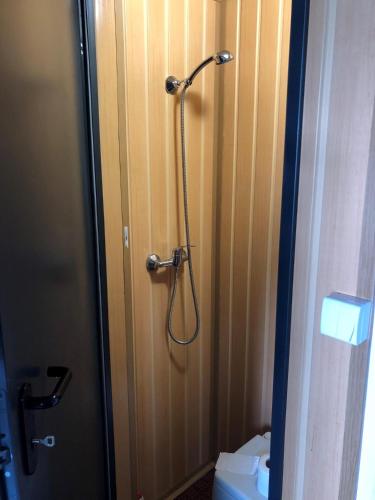a shower in a bathroom next to a toilet at Úszóház in Tiszafüred