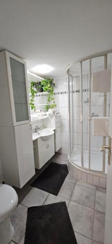 un bagno con doccia, WC e lavandino di Weilerswist Haus für große Gruppen Monteurshaus bis 8 Personen, Einzelbetten, 4 Schlafzimmer, 1 Küche, Terrasse Innenhof, Parkplatz a Weilerswist