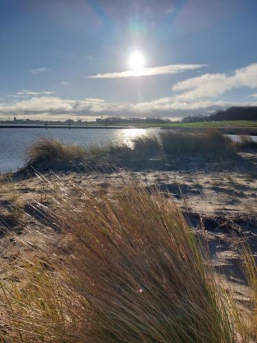 a field of tall grass next to a body of water at Pension Haus Erika in Cuxhaven