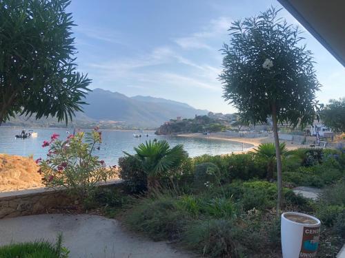 - une vue sur une étendue d'eau avec une plage dans l'établissement côté plage, à Propriano