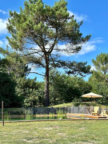 a tree with an umbrella and a table and chairs at Maison Magnolia in Onesse-et-Laharie