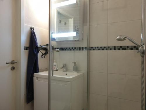 グリュックスブルクにあるModern und am Strand Balkon,PPの洗面台とガラスのシャワーを備えたバスルーム