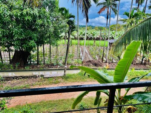 a view of a garden with palm trees and a fence at Blue Mountains View in Dambulla
