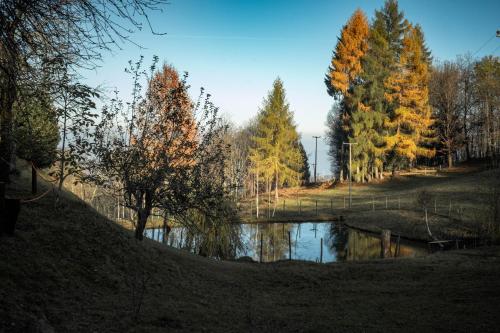 a pond in a field next to trees with at Agricamping La Meyra in Rossana