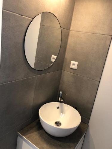 une salle de bain avec un lavabo et un miroir dans l'établissement Quiet studio, à Saint-Mars-sous-Ballon