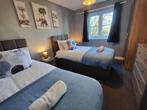 a bedroom with two beds and a window at Cedar - AwayOnBusiness in Eastleigh