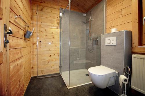 a bathroom with a toilet and a glass shower at Ferienhaus Donau 31 Glückskäfer in Hayingen