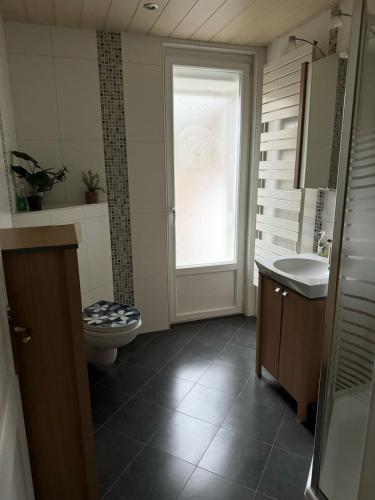 une salle de bain avec toilettes, lavabo et fenêtre dans l'établissement Beau duplex proche centre, à Kaysersberg