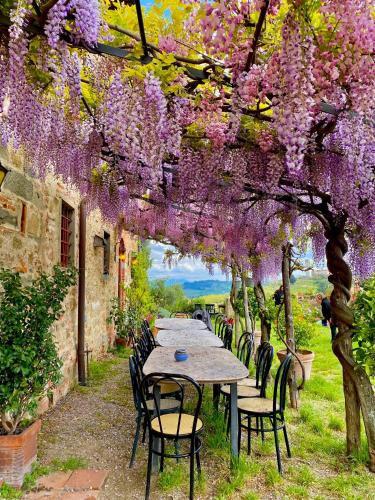 Κήπος έξω από το Agriturismo I Pitti