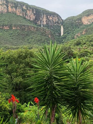 two palm trees with mountains in the background at Chale2RabodeGalo in Santana do Riacho