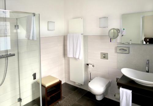 a bathroom with a toilet and a sink and a shower at Schloss Thurnau in Thurnau