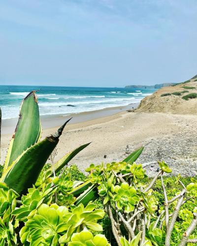 Naturlandskabet i nærheden af feriehuset
