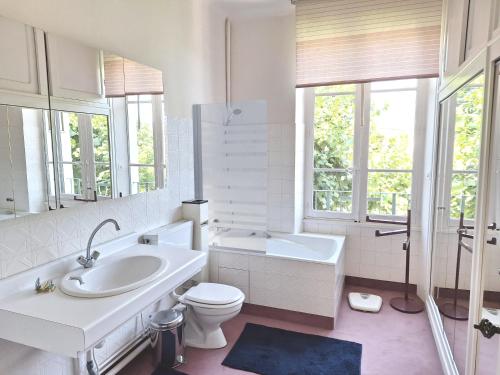 a bathroom with a sink and a toilet and a tub at Maison de famille à Millau in Millau