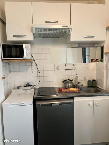 Il comprend une petite cuisine équipée d'une cuisinière et d'un évier. dans l'établissement Le Cosy Parisien - Canal Saint Martin - Paris 10eme, à Paris